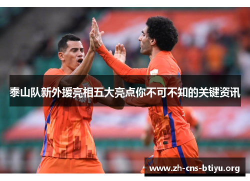 泰山队新外援亮相五大亮点你不可不知的关键资讯 泰山队新外援亮相五大亮点你不可不知的关键资讯