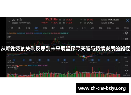 从哈谢克的失利反思到未来展望探寻突破与持续发展的路径 从哈谢克的失利反思到未来展望探寻突破与持续发展的路径